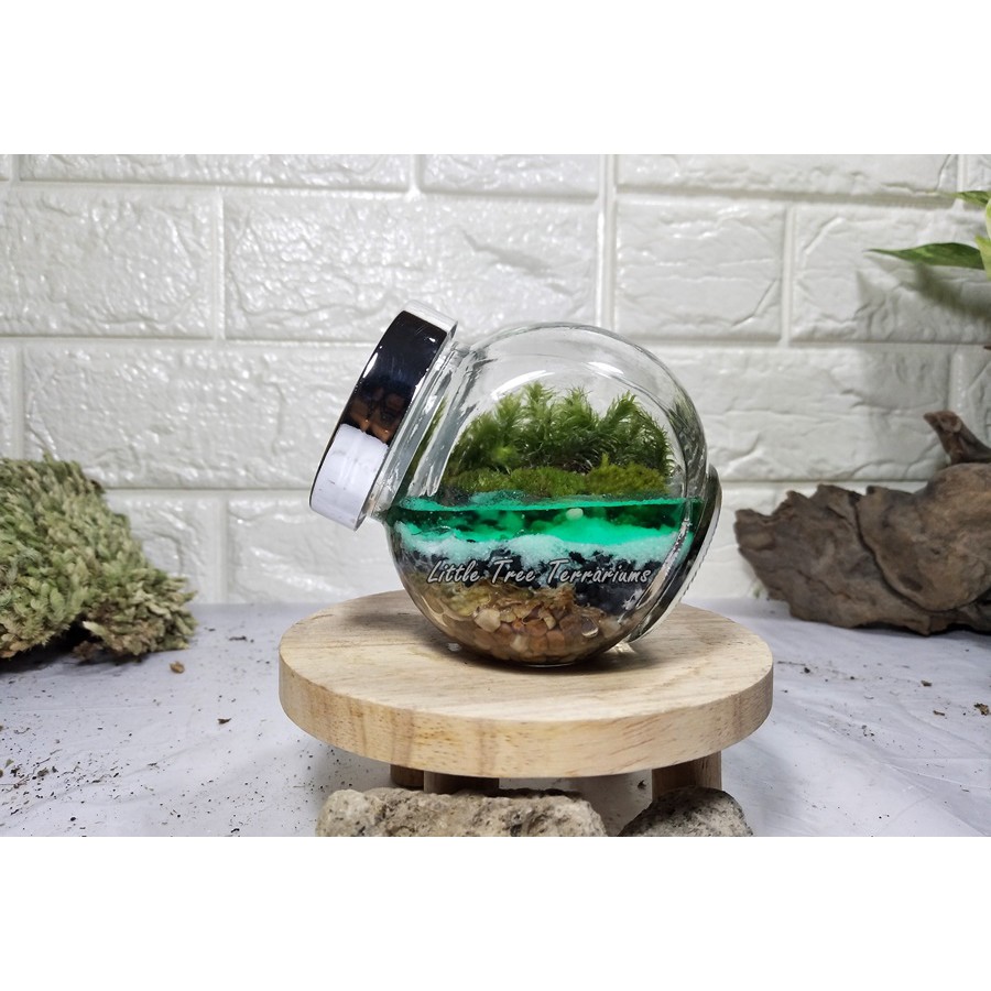 ชุดสวนขวดแก้วกลมเอียงพร้อมเจลน้ำตกแต่ง ขนาดสินค้าตามที่ระบุไว้ อ่านก่อนสั่งซื้อ