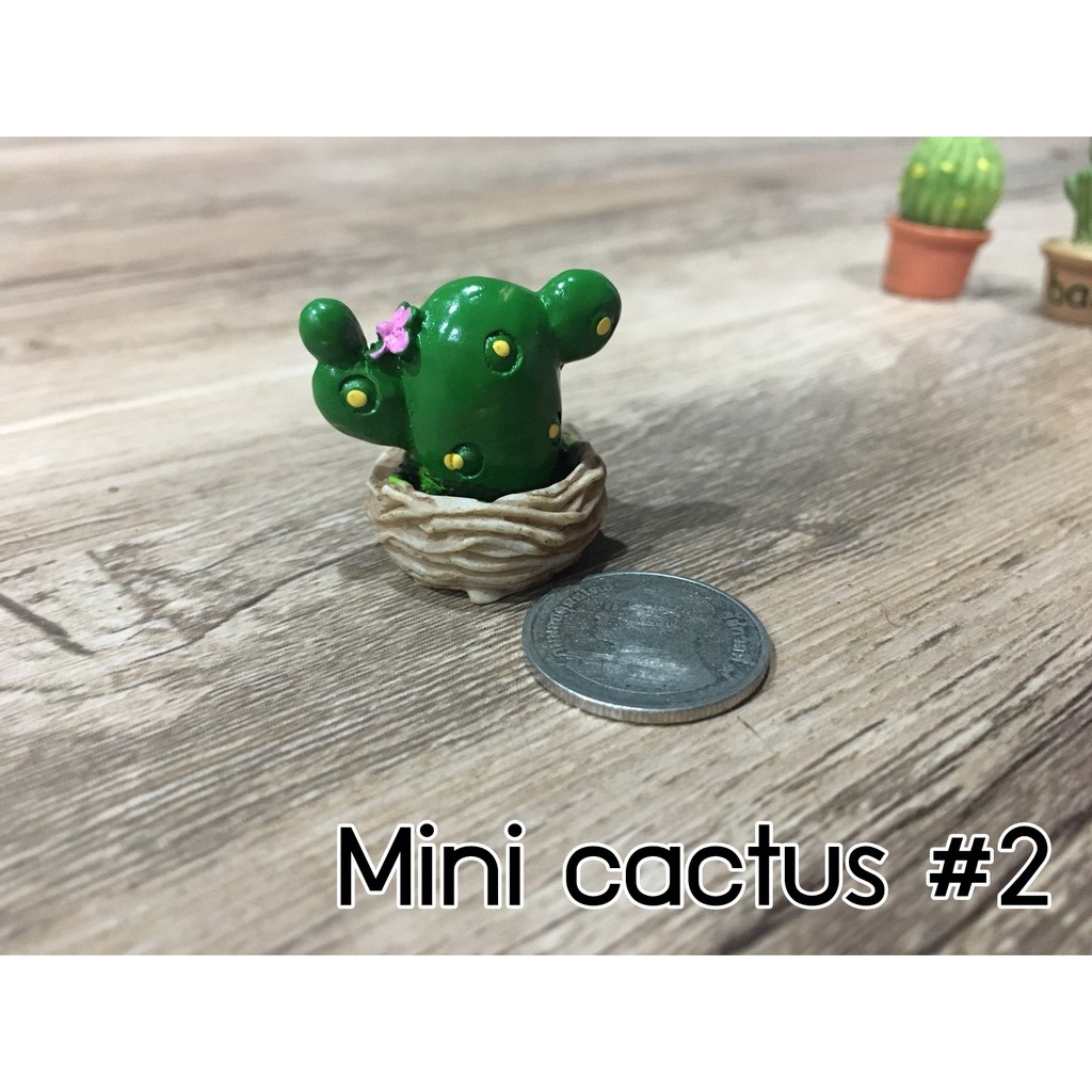 (ตุ๊กตาตกแต่งสวน) กระบองเพชรจิ๋ว มี 12 แบบให้เลือกค่ะ ใครเลี้ยงแล้วตายแนะนำรุ่นนี้ค่ะ ทิ้งขว้างยังไงก็ไม่ตาย