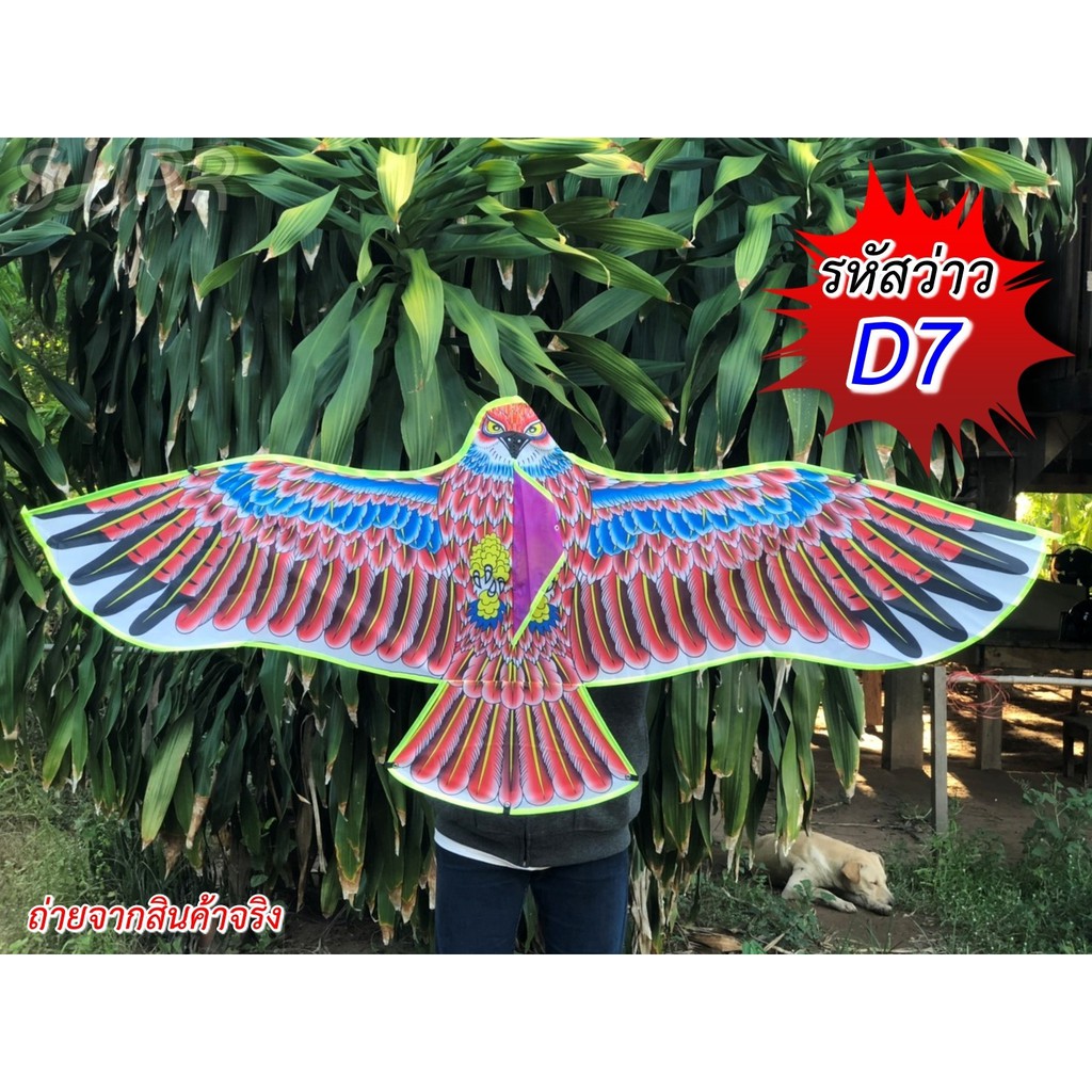 ว่าวไล่นก ว่าวนกอินทรีย์นกเหยี่ยว ว่าวไล่นกกันนกทำลายผลผลิต ว่าวตกแต่งสวน