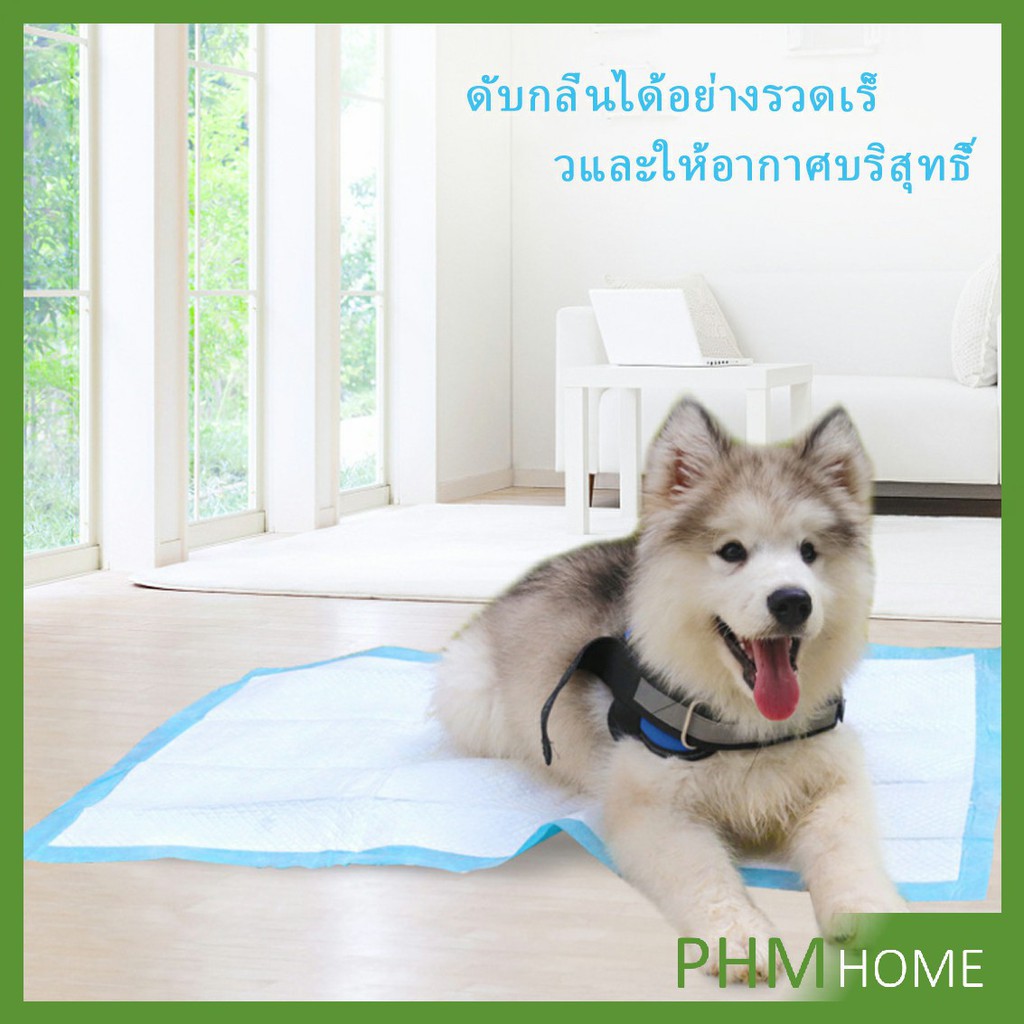 แผ่นรอง ปัสสาวะสัตว์เลี้ยงอุป กรณ์ห้องน้ำ สำหรับสัตว์เลี้ยง ที่ป้องกันก ดูดซับกลิ่น Size S, M, L& XL Pet changing pad