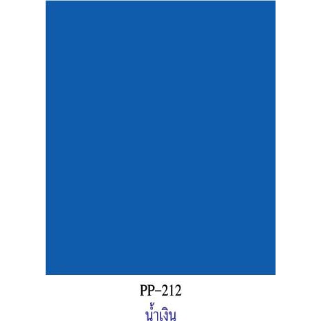 สีน้ำเงิน กระดาษโปสเตอร์สี 2 หน้า 20 แผ่น PP212