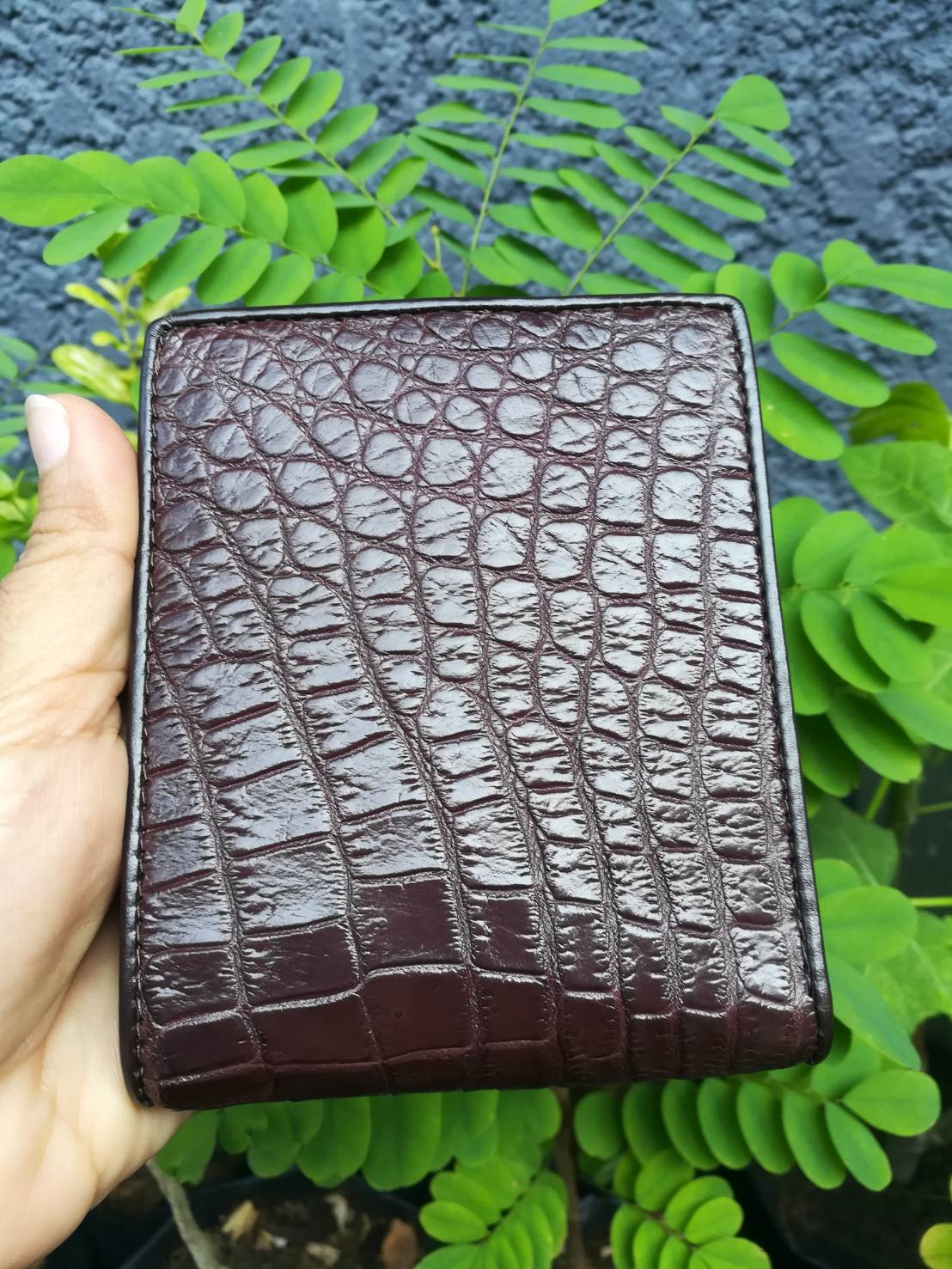 กระเป๋าหนังจระเข้แท้(หนังท้อง) สีน้ำตาล (ซับในมีตำหนิ)