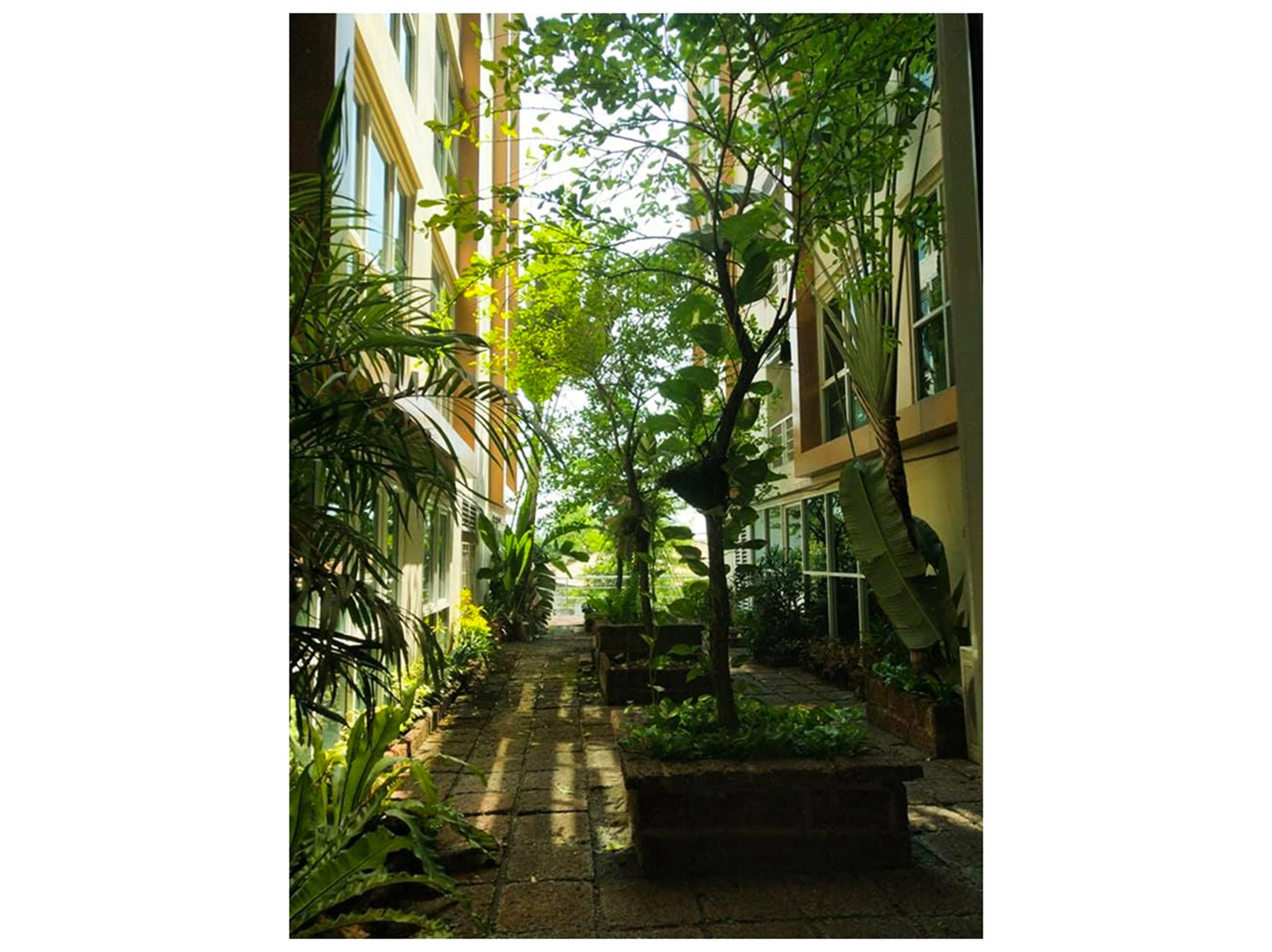 31298-ขายคอนโด Le'Cosi Ekamai ซอยเอกมัย 22 วัฒนา กรุงเทพ