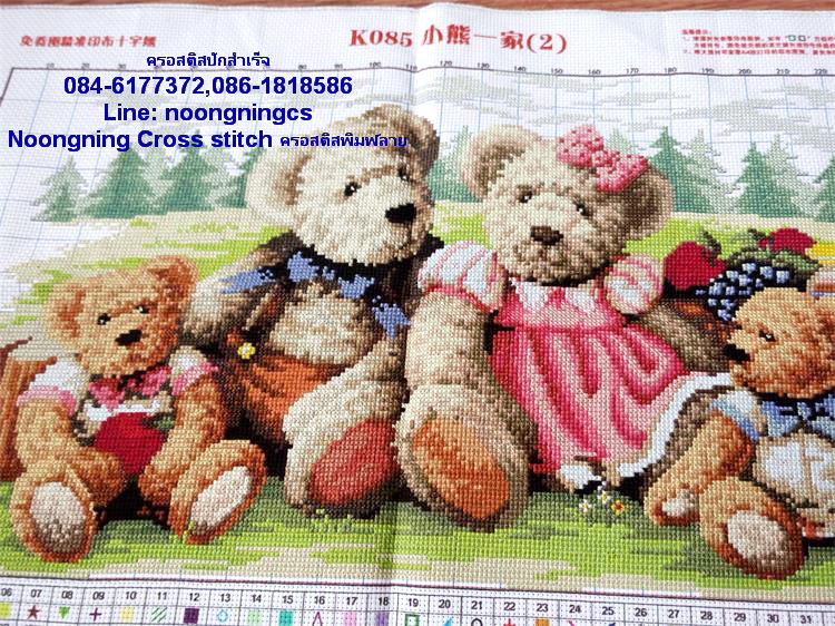 เด็กผู้หญิง ชุดปักครอสติส พิมพ์ลาย ครอสติสจีน งานฝีมือทำที่บ้าน DIY