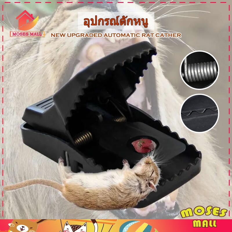 อุปกรณ์ดักหนู ที่ดักหนู ที่ดักหนูในบ้าน กับดักหนู ที่จับหนู แบบสปริง ที่ดักหนูอัตโนมัติ ไม่ต้องใช้สารเคมี สีดำ -591