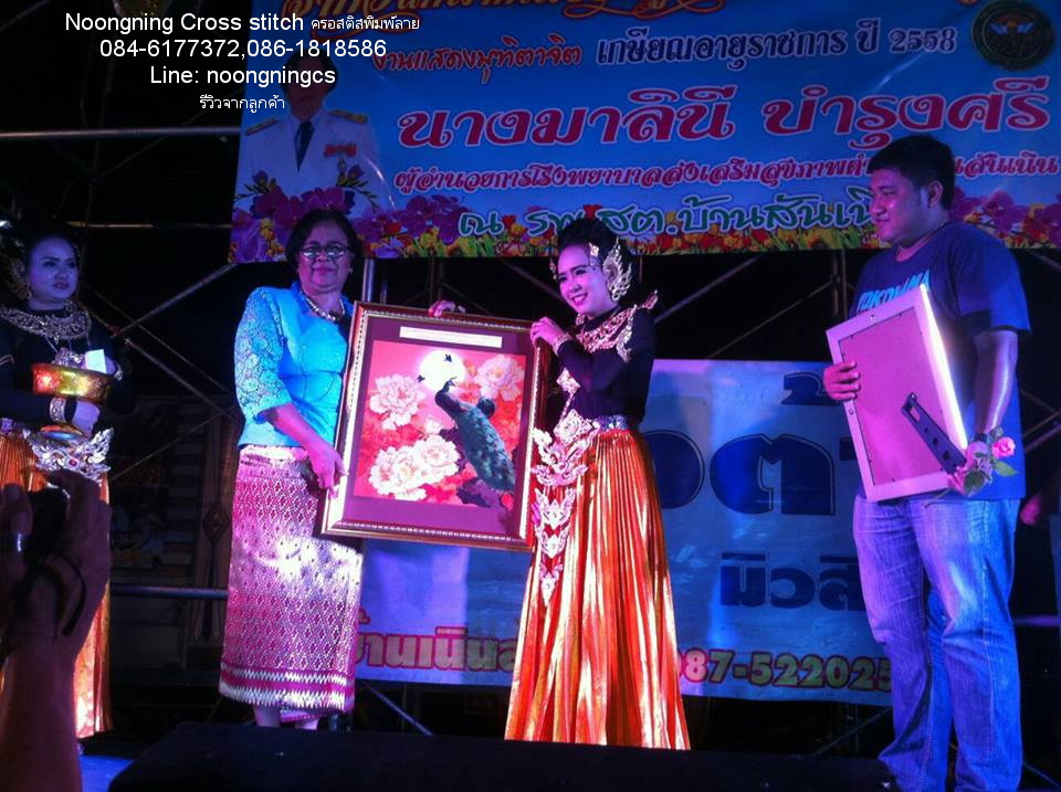 นกคู่ ชุดปักครอสติส พิมพ์ลาย ครอสติสจีน งานฝีมือทำที่บ้าน DIY