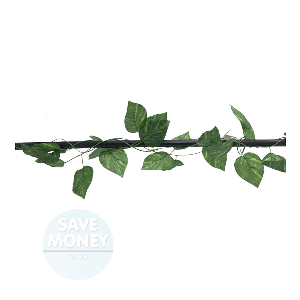 เถาวัลย์ปลอม ไม้เลื้อย🍀 ยาว2เมตร เถาวัลย์ ใบไม้ปลอม ใบองุ่น ใบพลูด่าง ใบไม้ประดิษฐ์ แต่งสวน