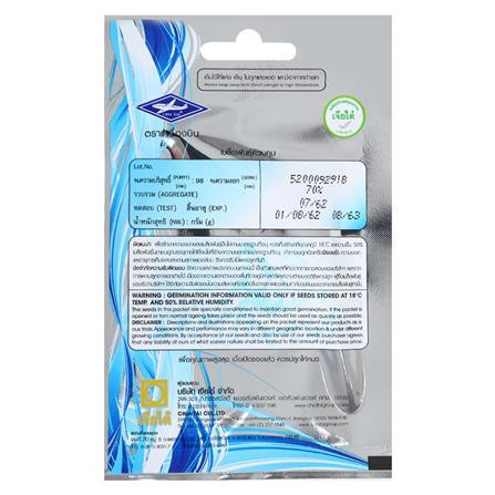 เมล็ดพันธุ์มะละกอแขกดำ เครื่องบิน แข็งแรง ออกรากง่าย