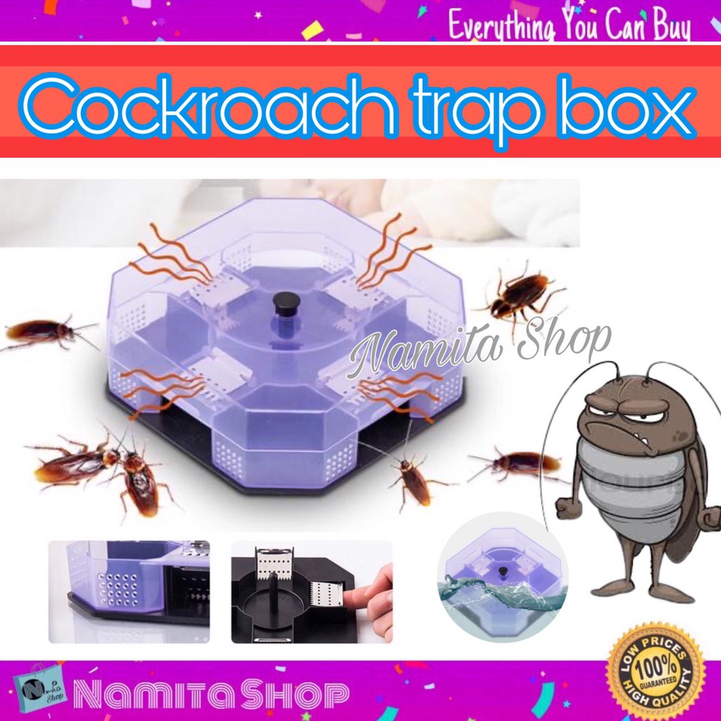 Coackroach trap box กล่องดักแมลงสาบ บ้านแมลงสาบ เครื่องดักแมลงสาบ ดัก 4 ทิศทาง