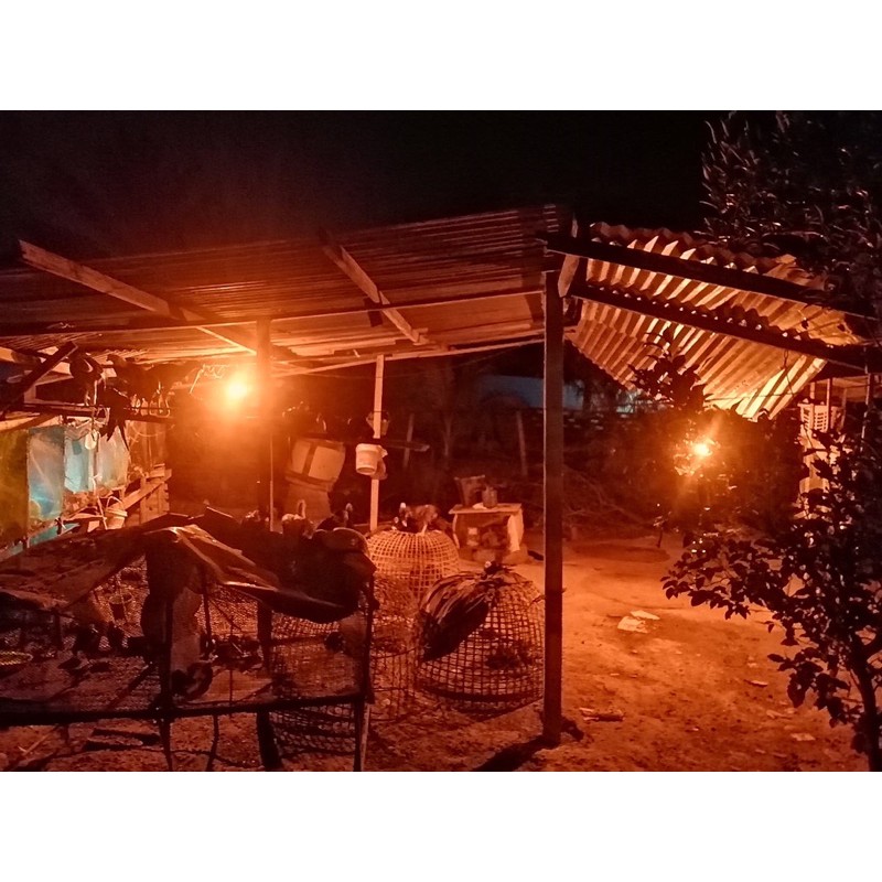 หลอดไฟไล่ยุงและแมลงระบบโซล่าเซลล์ 120Wปิด-เปิดอัตโนมัตสามารถชาร์แผงโซลาเซลล์และไฟบ้านได้