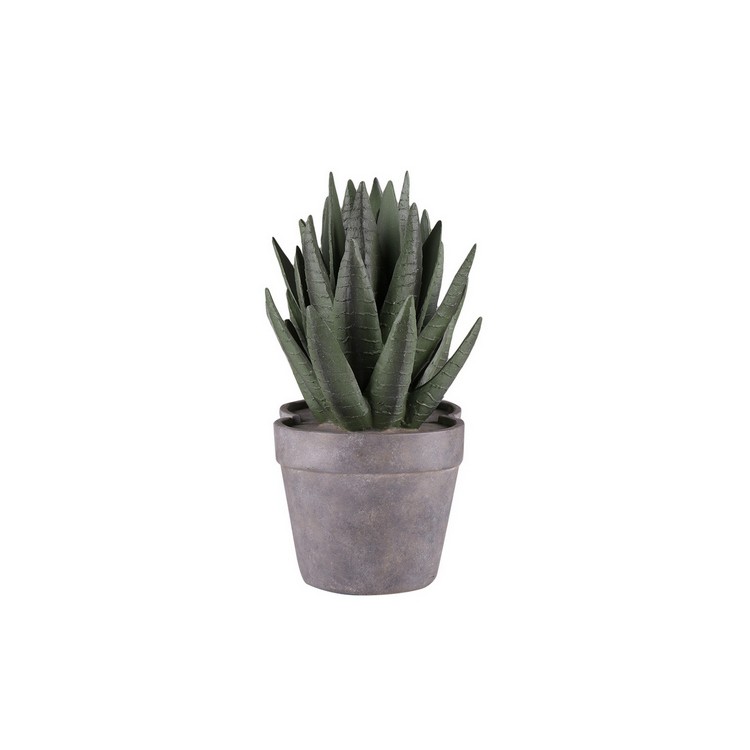 ของขวัญ Decor ของตกแต่ง ALOE 17.2X13 CM เขียว HLS | HOME LIVING STYLE | E6617501