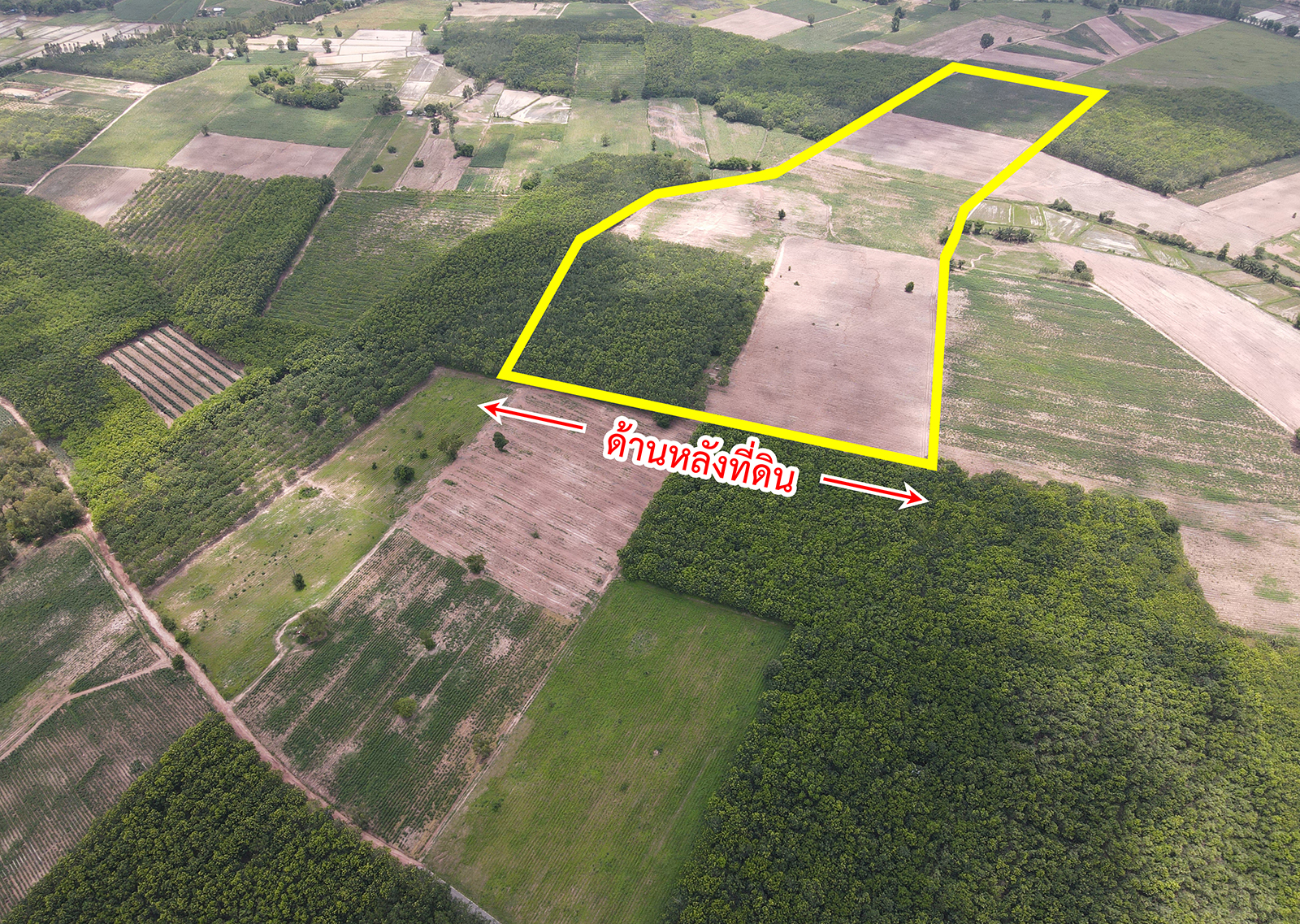 72165-ขายที่ดิน ตำบลตาลเลียน อำเภอกุดจับ จังหวัดอุดรธานี