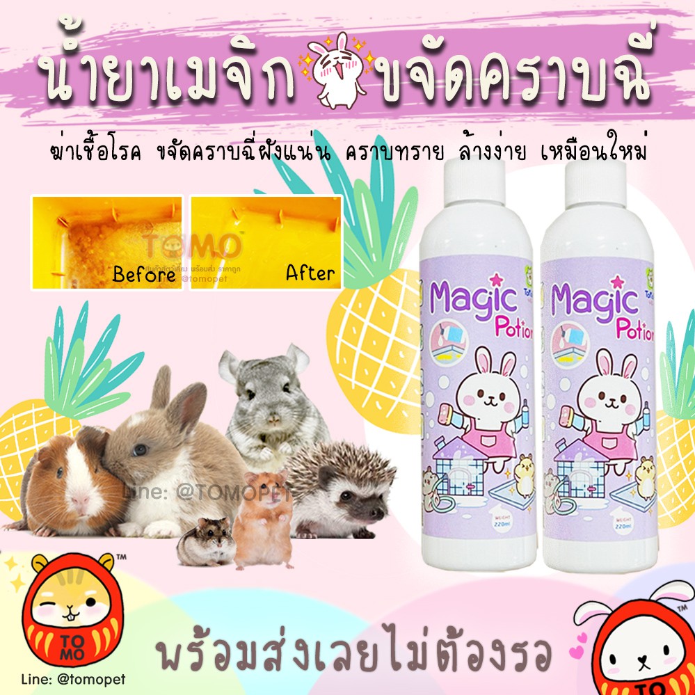 ร้านโทโมะ💕 น้ำยาเมจิก โทโมริ ขจัดคราบฉี่ฝังแน่น ฆ่าเชื้อโรค ขจัดกลิ่น ถาดรองกรง ห้องน้ำกระต่าย แฮมสเตอร์ เม่น สุนัข