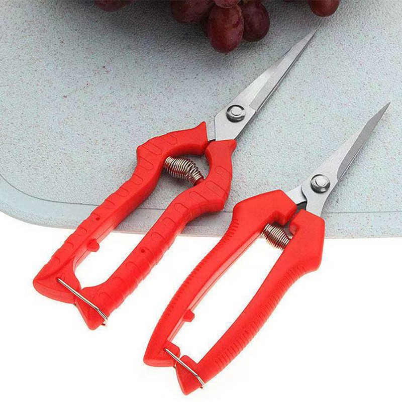 ஐ□กิ่งไม้ตัดแต่งสวน, กรรไกรเก็บผลไม้, กรรไกรผลไม้, กรรไกรพริกไทย, เครื่องมือเก็บเกี่ยวผลไม้ชนิดหนึ่ง, กรรไกรตัดผักและผ