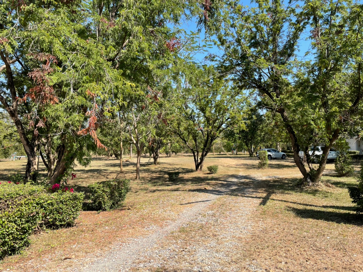 76932-ขายรีสอร์ท น้ำตกตาดหมอก อุทยานแห่งชาติตาดหมอก เมืองเพชรบูรณ์ เพชรบูรณ์