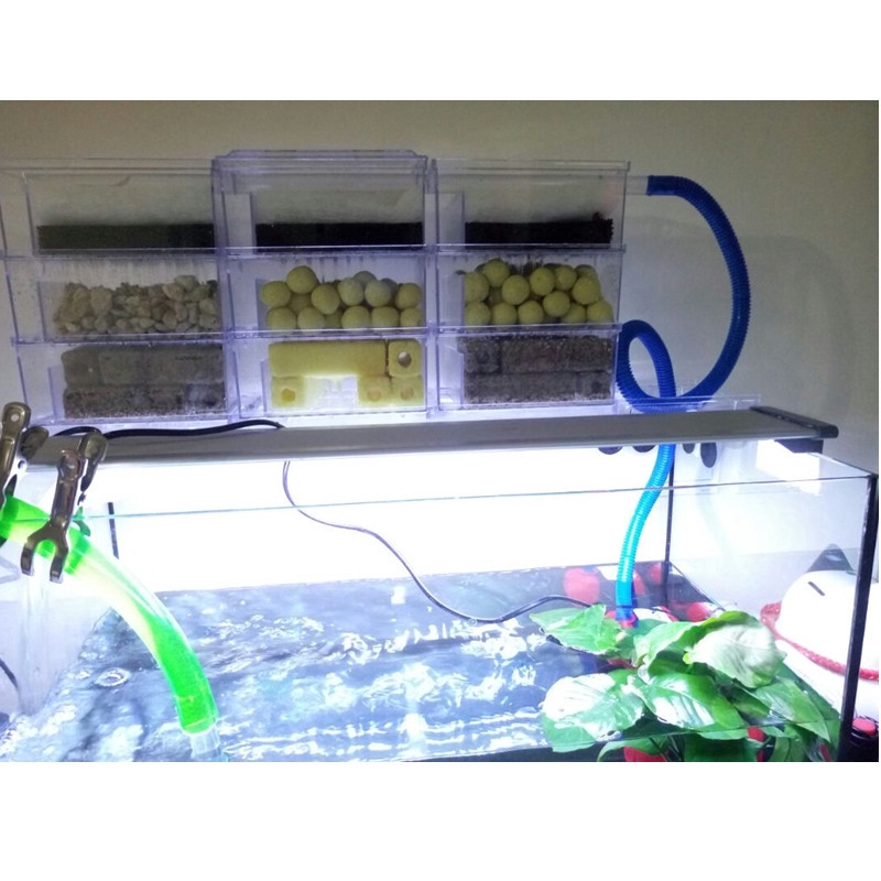 10 ชิ้นเซรามิกพิพิธภัณฑ์สัตว์น้ำทางชีวเคมีบอลสื่อกรองไนตริแบคทีเรียบ้านสำหรับน้ำทำความสะอาด