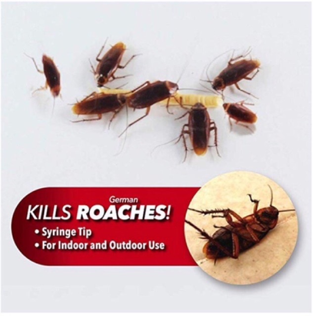 เจลกำจัดแมลงสาบ roach doctor เจลฆ่าแมลงสาบ ขนาด 30g ยาฆ่าแมลงสาบ ยากำจัดแมลงสาบ เจลกำจัดมด แมลงสาป เจลกำจัดแมลง ฆ่าแมลง