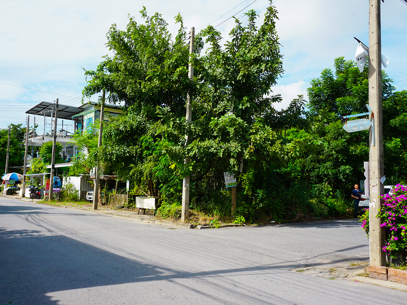 72076-ขายที่ดิน ชุมชนเคหะวัดไพร่ฟ้า บางหลวง ปทุมธานี