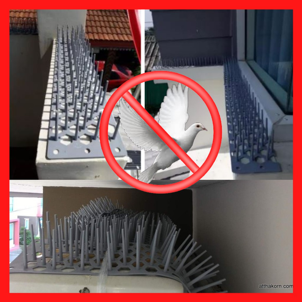 แปลงหนามป้องกันนกเกาะ กันนกทำรัง ป้องนกพิราบ นกทุกชนิด (แบบวาง) 1 ชิ้น ขนาด 49x11.2x6ซม. อุปกรณ์ไล่นก