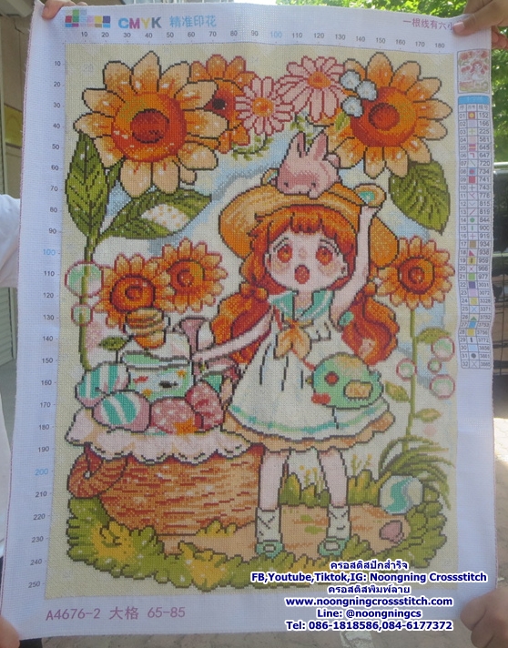 การ์ตูนสาวทานตะวัน ครอสติสปักสำเร็จ