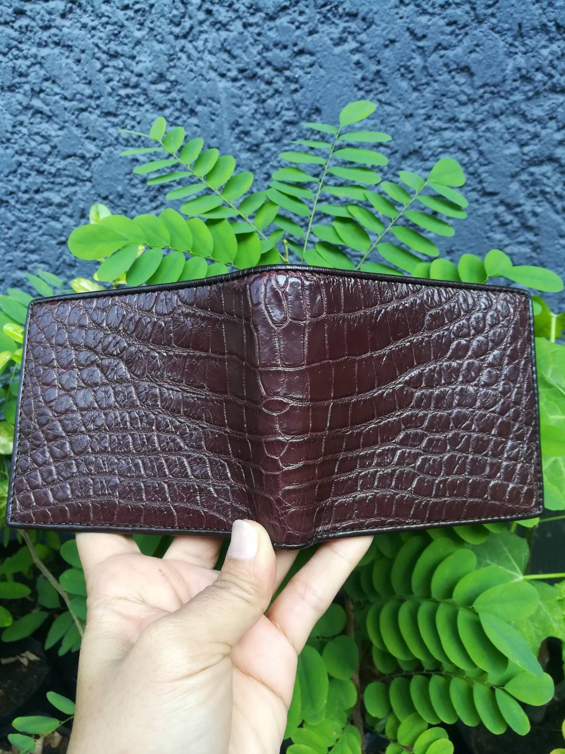 กระเป๋าหนังจระเข้แท้(หนังท้อง) สีน้ำตาล (ซับในมีตำหนิ)