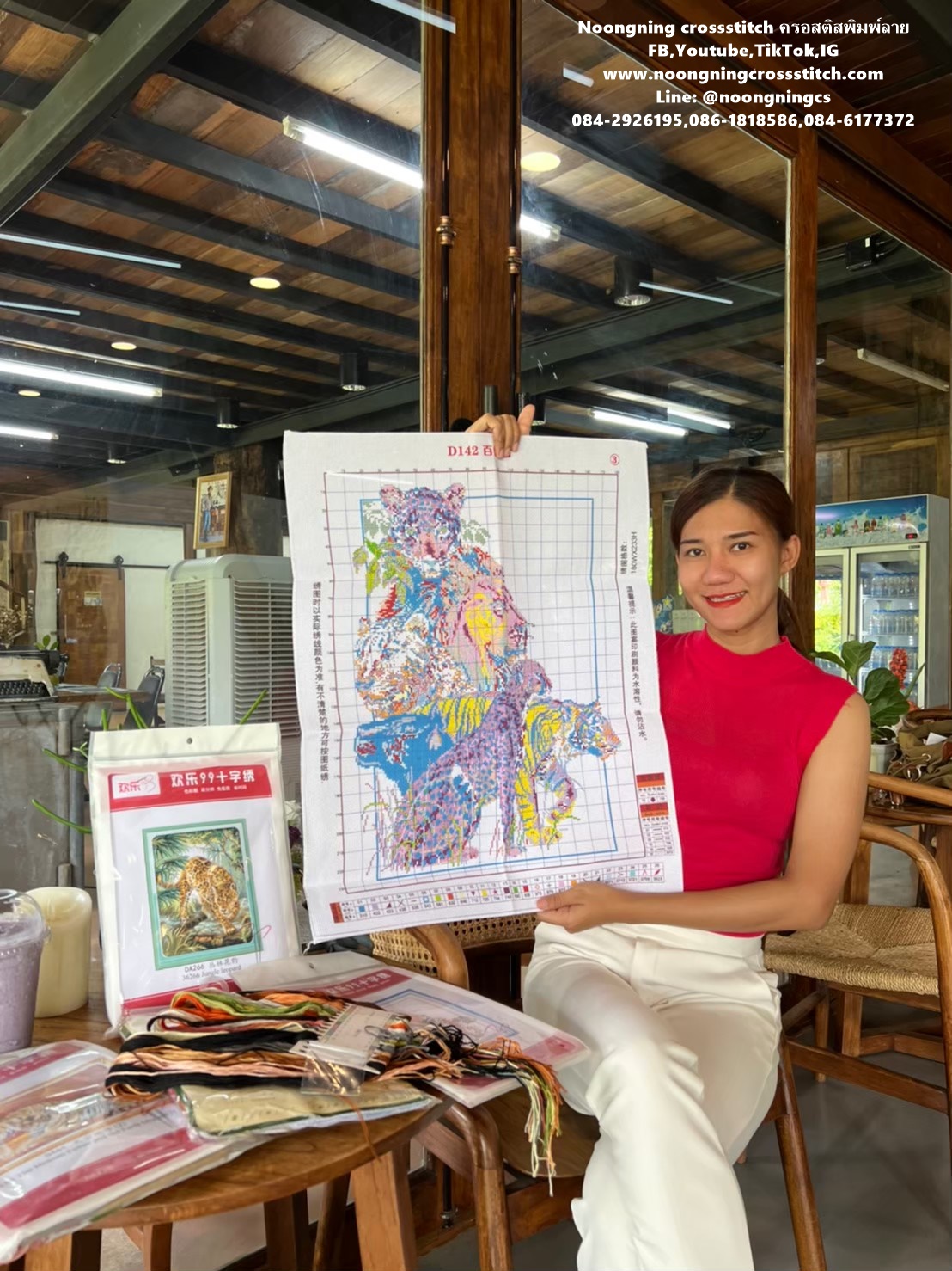 แมวเหมียว ริมหน้าต่าง ชุดปักครอสติช พิมพ์ลาย ครอสติสจีน งานฝีมือ DIY