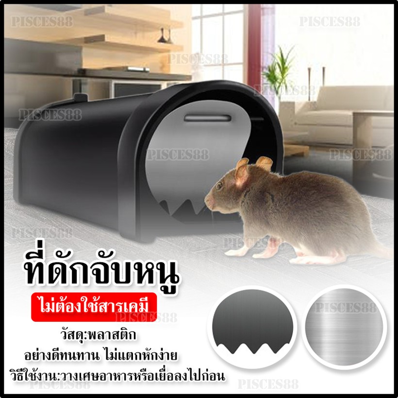 ที่ดักหนู ที่ดักจับหนู ที่จับหนูขนาดใหญ่ กล่องดักจับหนูพลาสติก อุปกรณ์ดักหนู กับดักหนู สำหรับใช้ในบ้าน