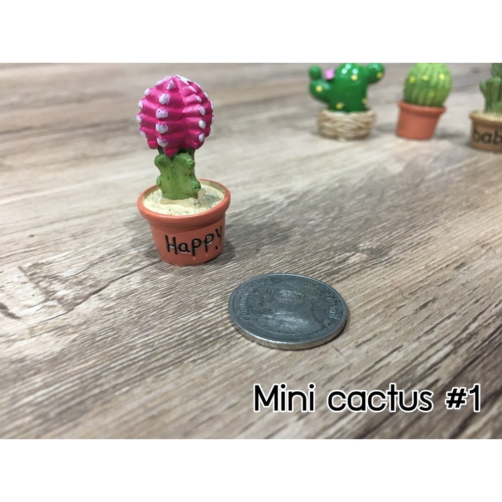 (ตุ๊กตาตกแต่งสวน) กระบองเพชรจิ๋ว มี 12 แบบให้เลือกค่ะ ใครเลี้ยงแล้วตายแนะนำรุ่นนี้ค่ะ ทิ้งขว้างยังไงก็ไม่ตาย