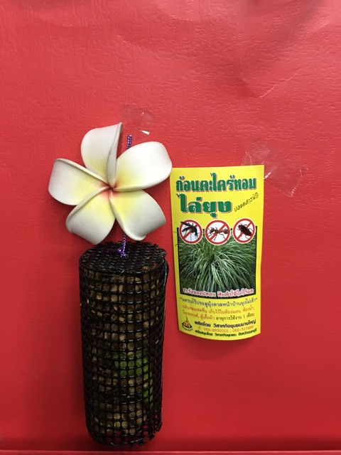 ก้อนตะไคร้ไล่ยุง (พร้อมส่งและราคาถูก) สมุนไพร 💯% ตะไคร้หอมไล่ยุง ไล่ยุง