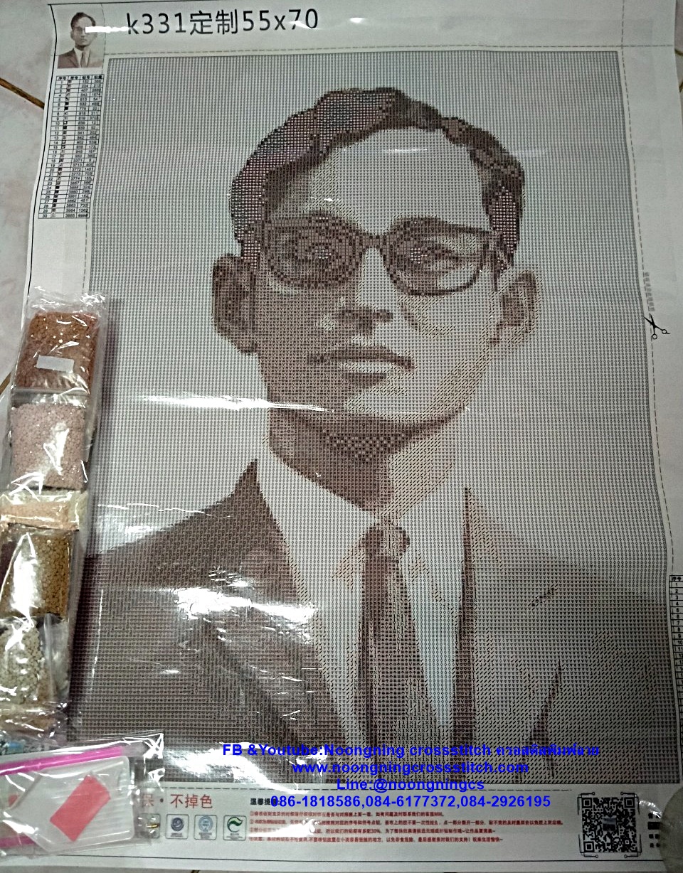 แมวน้อย VSเสือขาว ครอสติสคริสตัล Diamond painting โมเสก ภาพติดเพชร งานฝีมือทำที่บ้าน DIY