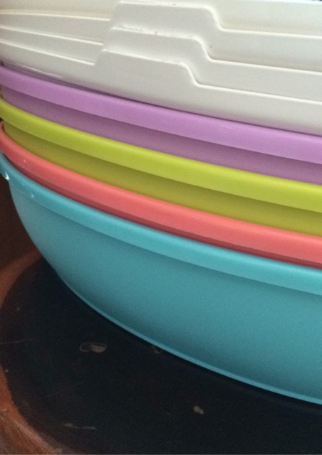 กระบะทรายแมว ไซส์เล็ก *ลูกแมว* Bokdok