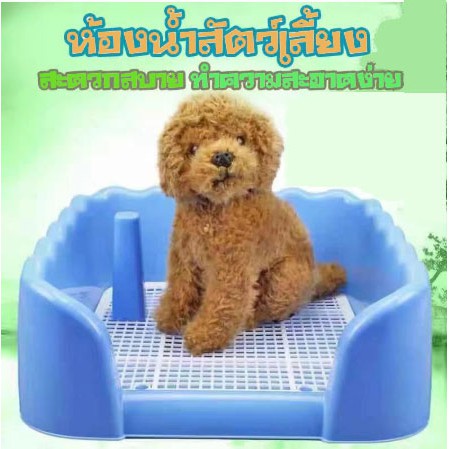 ห้องน้ำสัตว์เลี้ยงขอบสี่เหลี่ยม ห้องน้ำสุนัข 🐶 มีเสาถอดได้ มีตะแกรงรองถาด