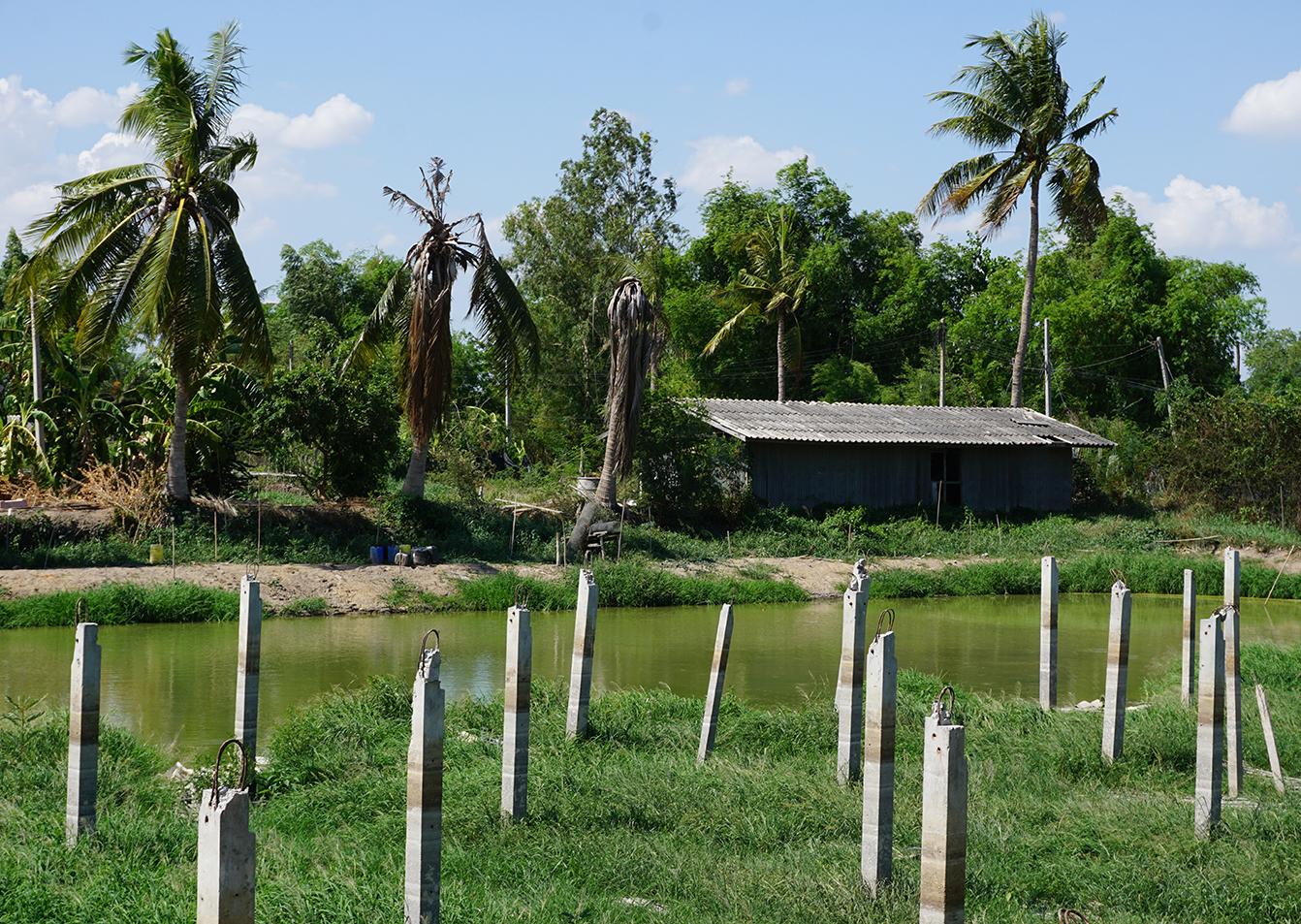 68412-ขายที่ดิน พร้อมฟาร์มไก่เนื้อระบบปิด ท่าเสด็จ สุพรรณบุรี