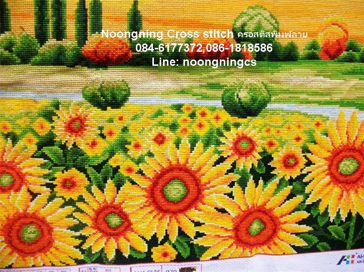 ม้าครอสติสพิมพ์ลาย