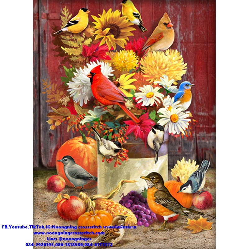 นกนานาพันธ์ ชุดปักครอสติช พิมพ์ลาย ครอสติสจีน งานฝีมือ DIY