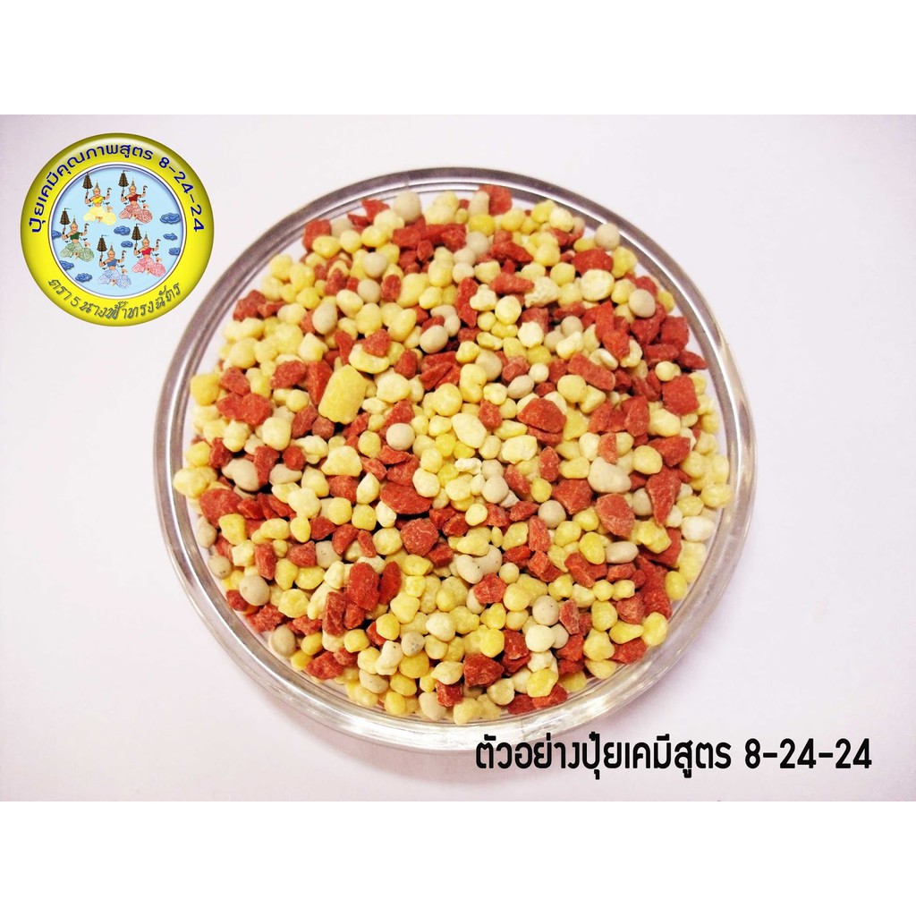 ปุ๋ยเร่งดอก เพิ่มผลผลิต สูตร 8-24-24 ตรา 5 นางฟ้าทรงฉัตร บรรจุ 1 กิโลกรัม ดอกดกยกสวน เพิ่มผลผลิต บำรุงดอกผลให้สมบูรณ์