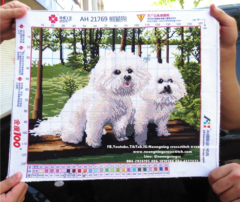 หมาน้อยสีขาวน่ารัก ครอสติสปักสำเร็จ11CT:ขนาดผ้า :44X35 ซม.