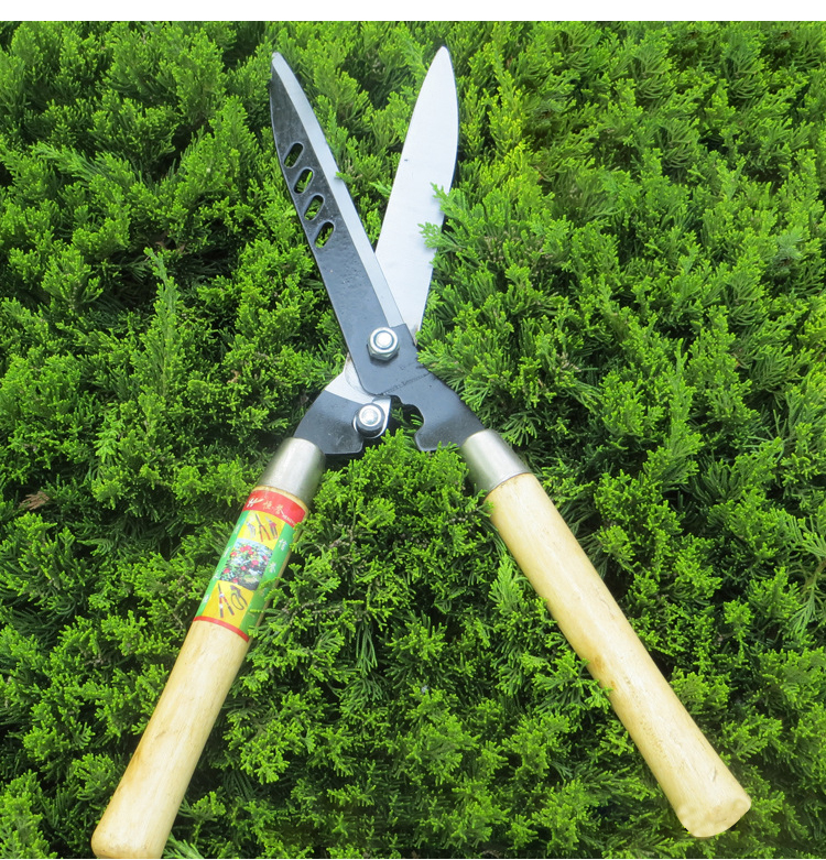 T&G กรรไกรตัดแต่งกิ่ง กรรไกรตัดหญ้า อุปกรณ์ตกแต่งสวน น้ำหนักเบา ตัดเร็ว กรรไกรตัดหญ้าด้ามไม้ กรรไกรเล็มหญ้า