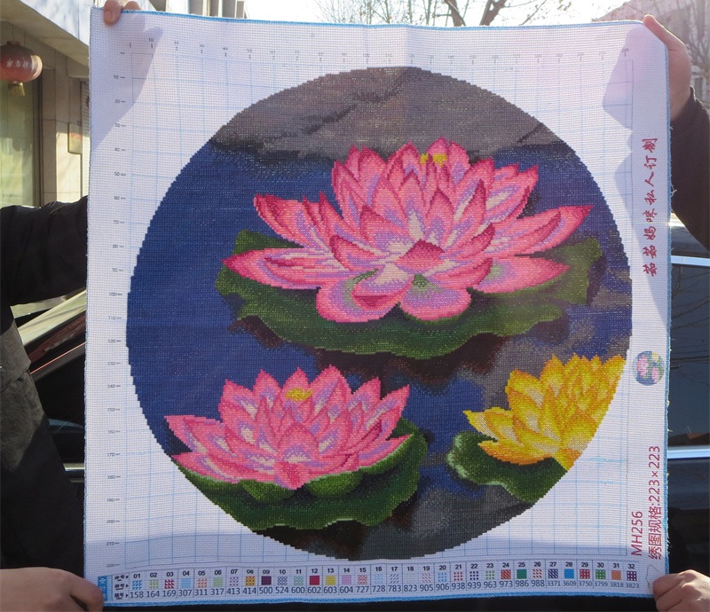 ดอกบัวสวยงามในบึง ครอสติสปักสำเร็จ