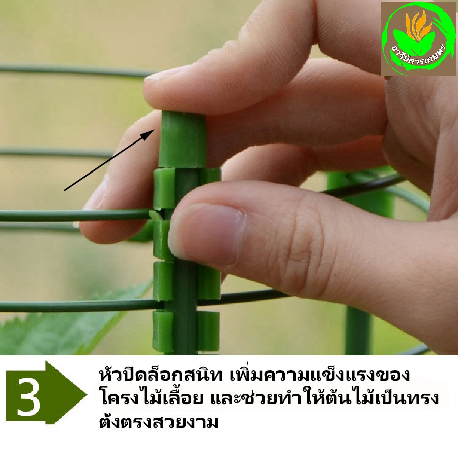 เซตโครงพยุงไม้เลื้อย ผักสวนครัว หลักล้อมใช้ปักลงในกระถางต้นไม้ จัดโครงต้นไม้ให้สวยงามตั้งตรง และทำโครงไม้เลื้อยได้ง่าย