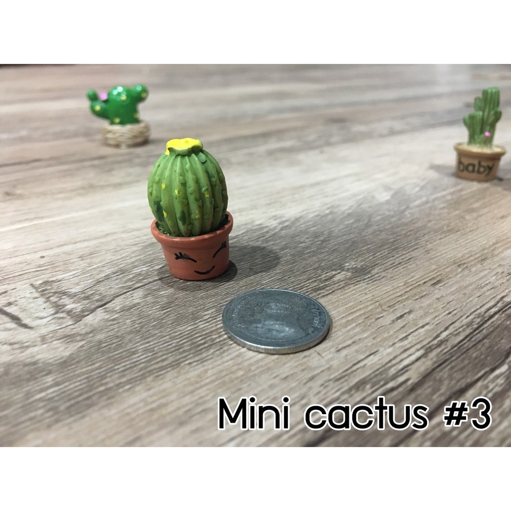 (ตุ๊กตาตกแต่งสวน) กระบองเพชรจิ๋ว มี 12 แบบให้เลือกค่ะ ใครเลี้ยงแล้วตายแนะนำรุ่นนี้ค่ะ ทิ้งขว้างยังไงก็ไม่ตาย