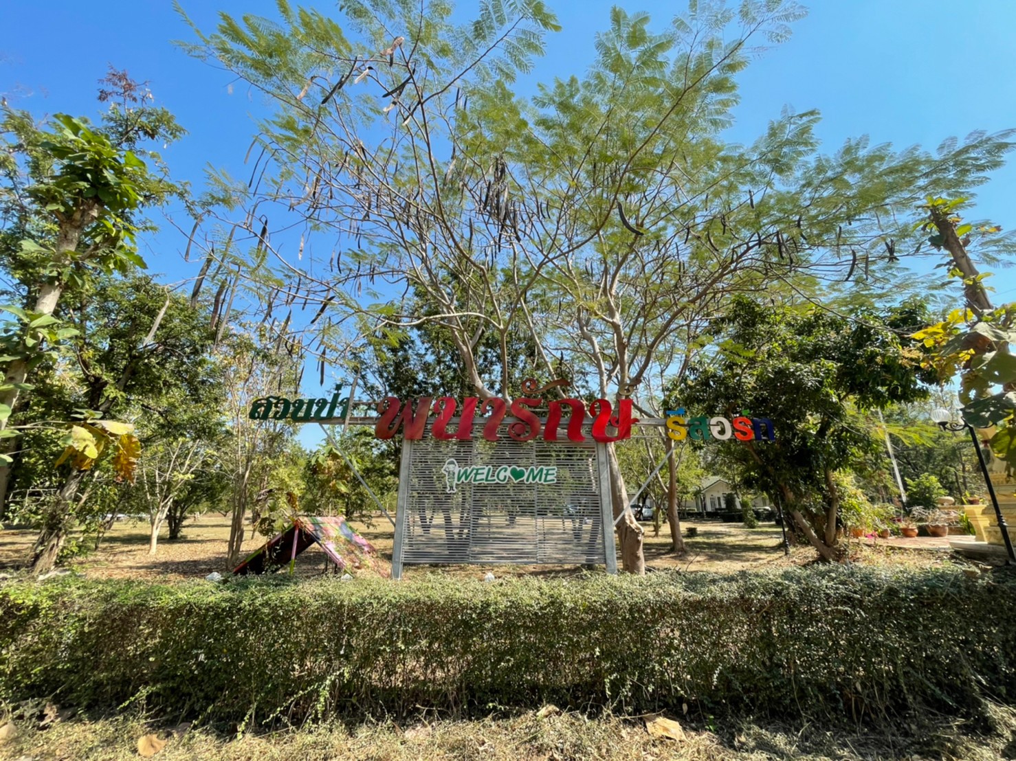 76932-ขายรีสอร์ท น้ำตกตาดหมอก อุทยานแห่งชาติตาดหมอก เมืองเพชรบูรณ์ เพชรบูรณ์