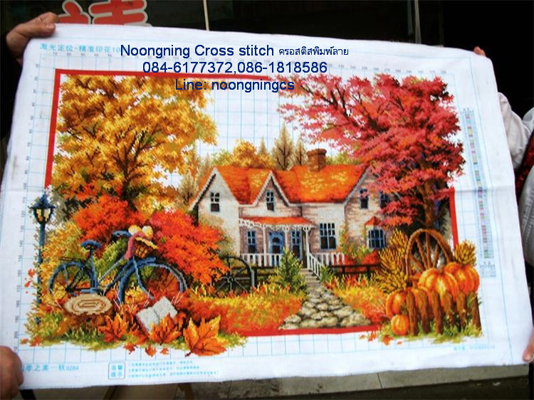 ตัวอักษรจีน ชุดปักครอสติช พิมพ์ลาย ครอสติสจีน งานฝีมือ DIY