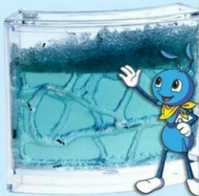 บ้านมด ที่เลี้ยงมีไฟส่อง กล่องเลี้ยงมด ฟาร์มมดของเล่น บ้านมด ฟาร์มมดเจลเขาวงกต Ant Farm-B(มีไฟLED)