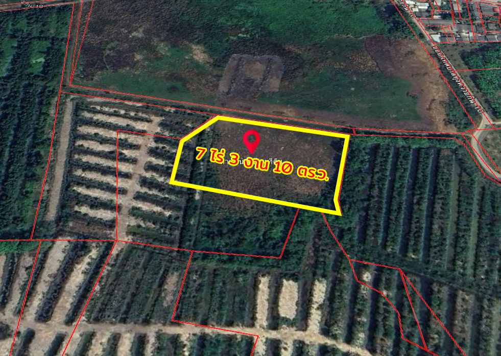 86350-ขายที่ดิน ถนนสุขุมวิท ต.ทุ่งควายกิน อ.แกลง จ.ระยอง