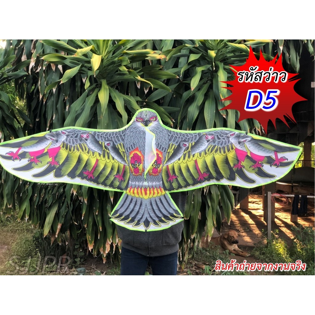 ว่าวไล่นก ว่าวนกอินทรีย์นกเหยี่ยว ว่าวไล่นกกันนกทำลายผลผลิต ว่าวตกแต่งสวน