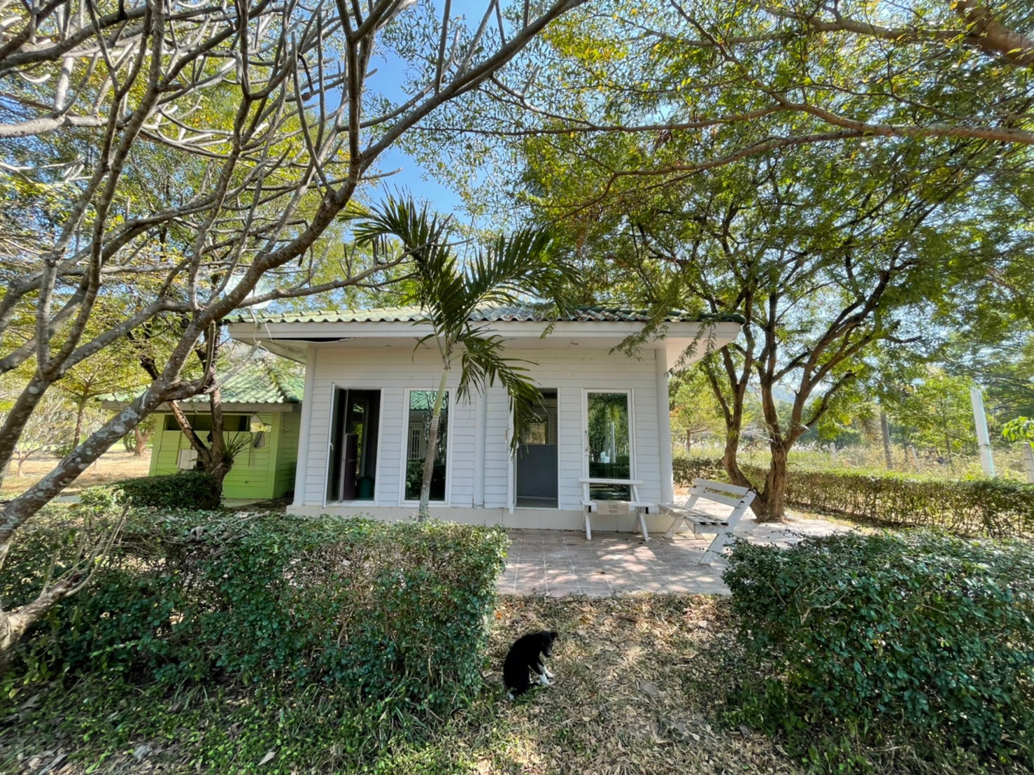 76932-ขายรีสอร์ท น้ำตกตาดหมอก อุทยานแห่งชาติตาดหมอก เมืองเพชรบูรณ์ เพชรบูรณ์