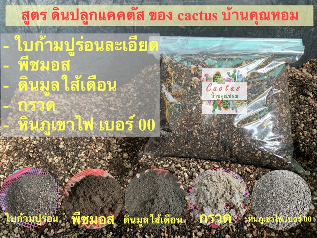 ดินสำหรับปลูกแคคตัส และไม้อวบน้ำ กก. ละ 45 บาท