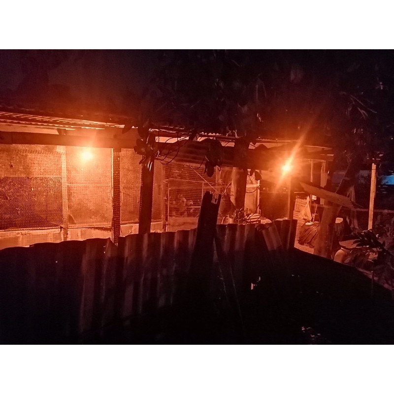 หลอดไฟไล่ยุงและแมลงระบบโซล่าเซลล์ 120Wปิด-เปิดอัตโนมัตสามารถชาร์แผงโซลาเซลล์และไฟบ้านได้