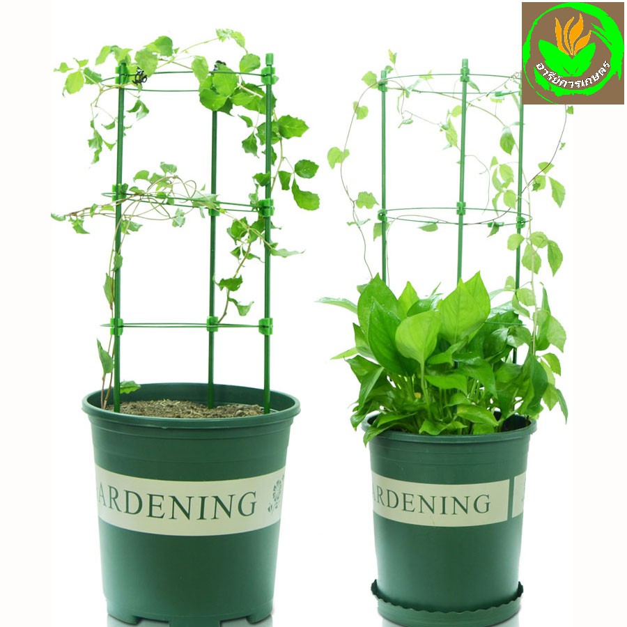 เซตโครงพยุงไม้เลื้อย ผักสวนครัว หลักล้อมใช้ปักลงในกระถางต้นไม้ จัดโครงต้นไม้ให้สวยงามตั้งตรง และทำโครงไม้เลื้อยได้ง่าย